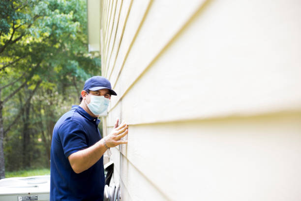 Best Siding Replacement  in Armada, MI