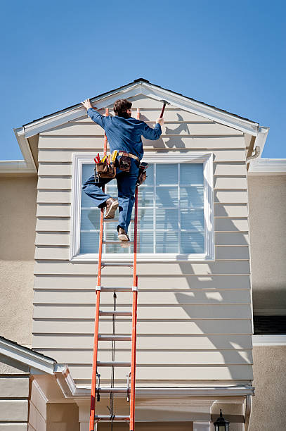 Best Insulated Siding Installation  in Armada, MI