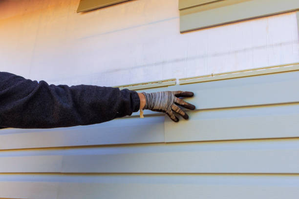 Best Siding Painting and Refinishing  in Armada, MI